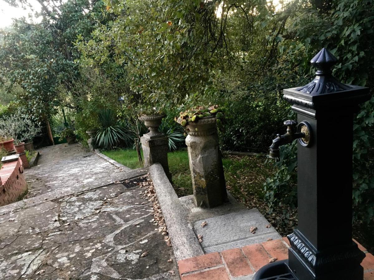 Villa Baronzola Montevarchi Exterior foto