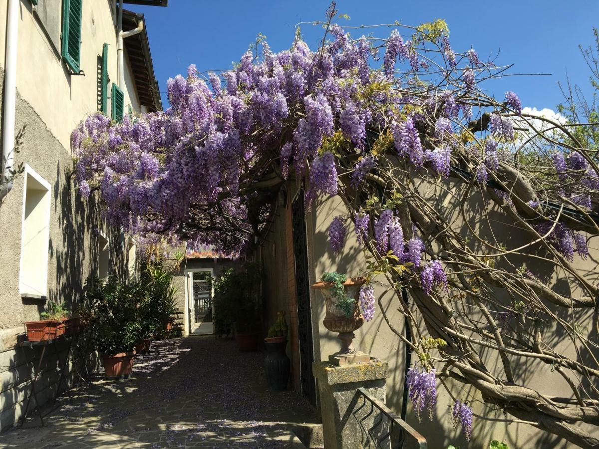 Villa Baronzola Montevarchi Exterior foto